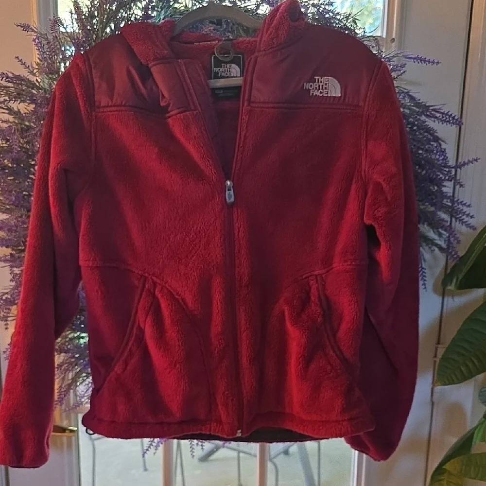 The North Face Cherry Red Fleece Jacket Medium - Picture 1 of 4